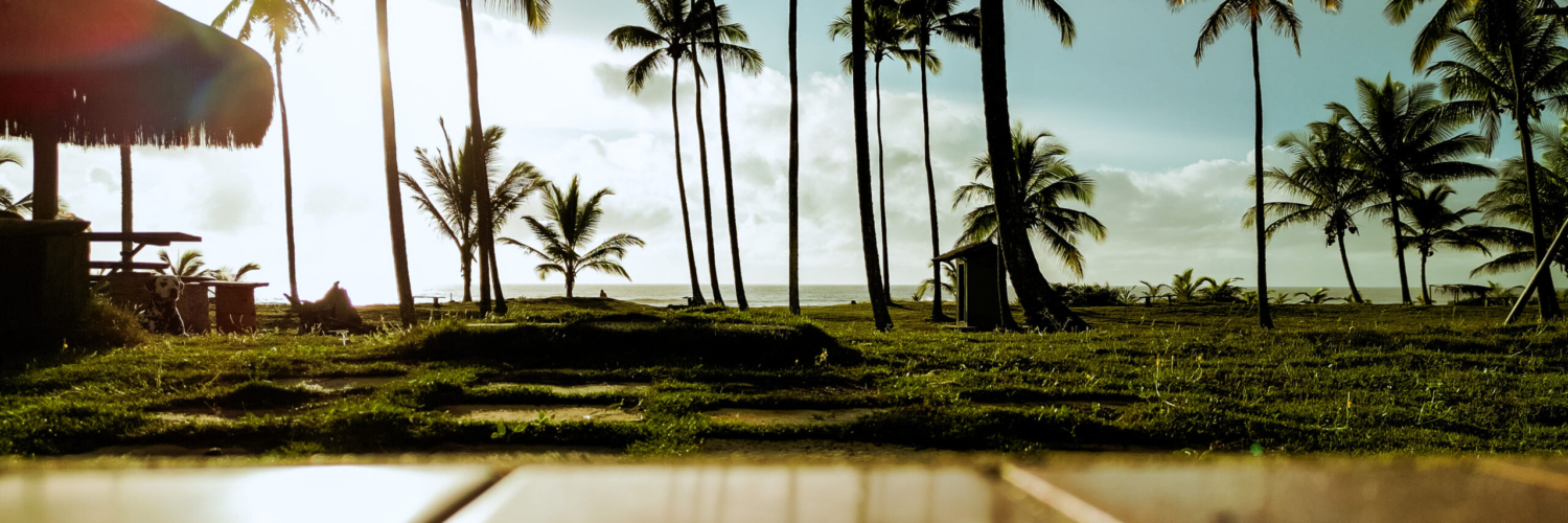 FAZENDA_4K_HORIZONTAL.00_00_00_13.Quadro004e