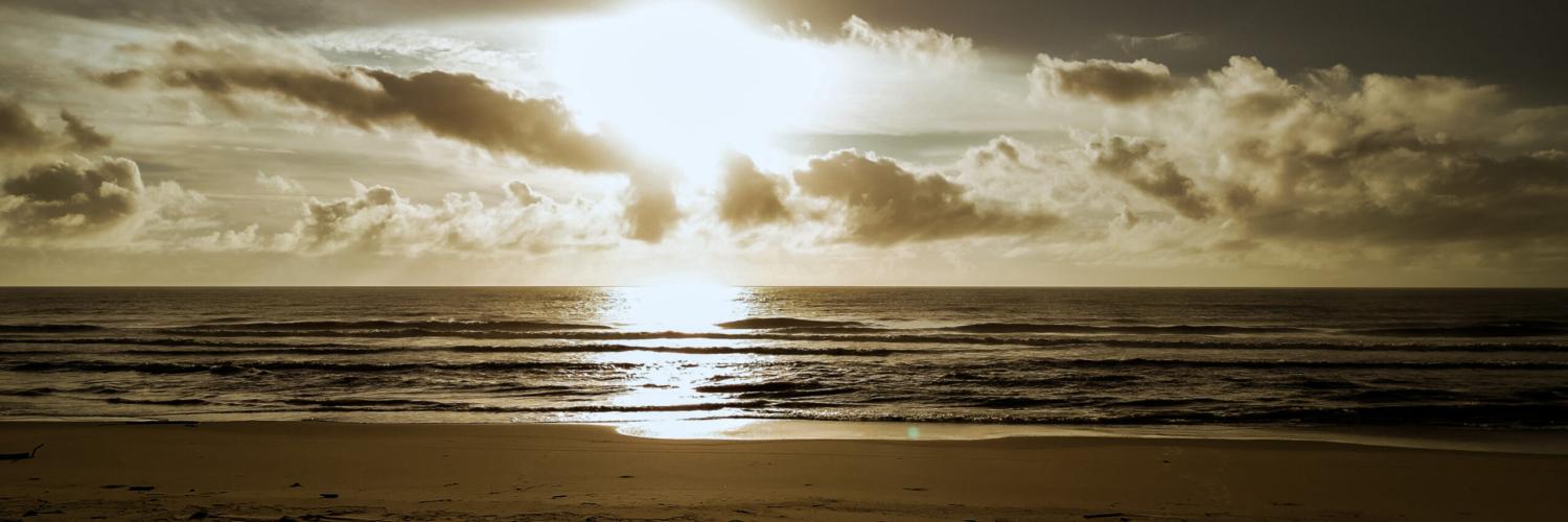 FAZENDA_4K_HORIZONTAL.00_01_36_01.Quadro007-e