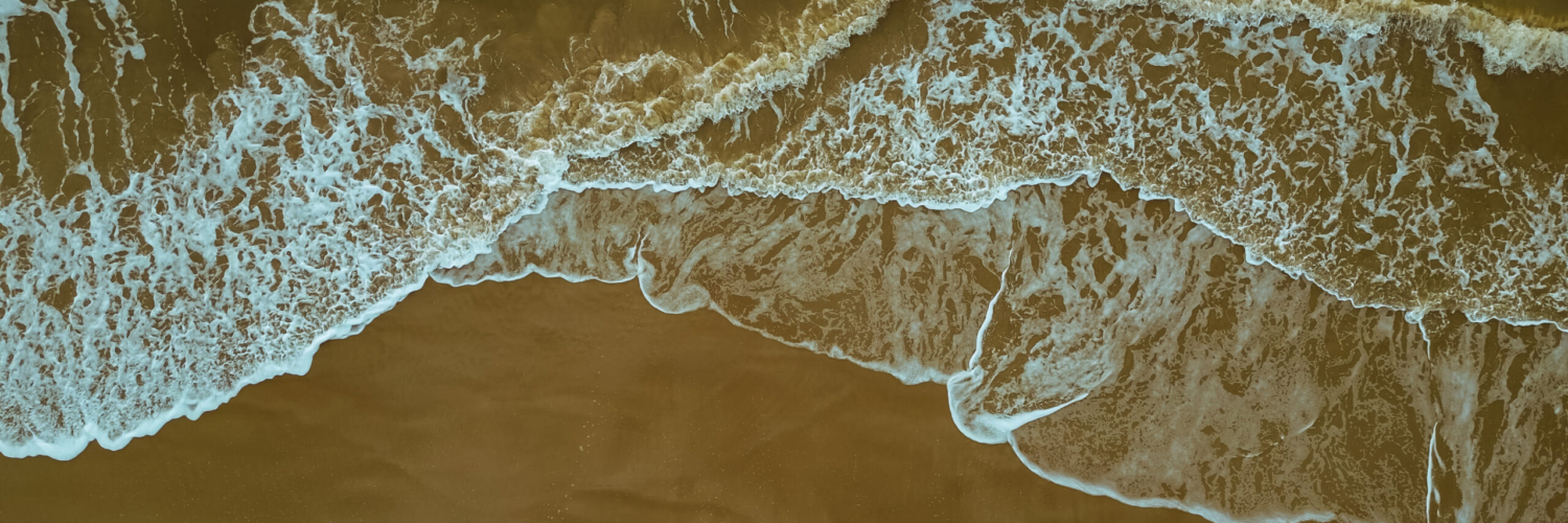 FAZENDA_4K_HORIZONTAL.00_02_52_11.Quadro011e